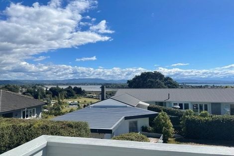 Photo of property in 382 Otumoetai Road, Otumoetai, Tauranga, 3110