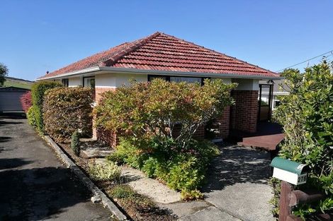 Photo of property in 276 Highcliff Road, Shiel Hill, Dunedin, 9013