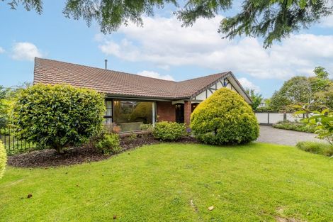 Photo of property in 19 Ellerslie Avenue, Chartwell, Hamilton, 3210