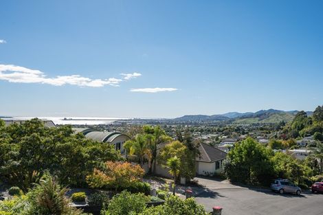 Photo of property in 11 Cresswell Place, Richmond, 7020