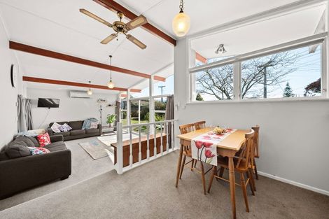 Photo of property in 24 Freyberg Street, Solway, Masterton, 5810