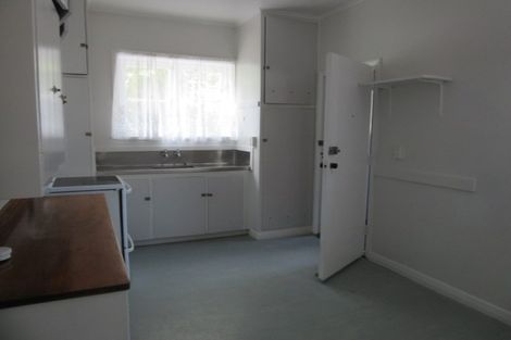 Photo of property in 13 Massey Avenue, Greenlane, Auckland, 1061
