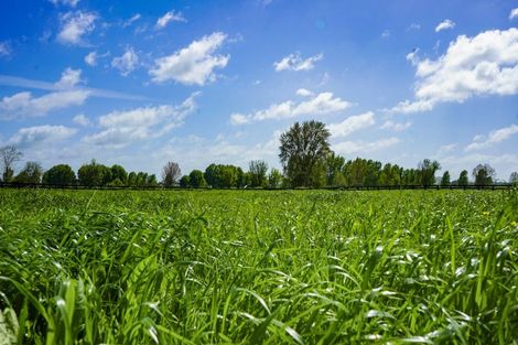 Photo of property in 141 Bellevue Road, Matangi, Hamilton, 3284
