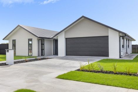 Photo of property in 30 Whakahaumako Road, Leamington, Cambridge, 3495