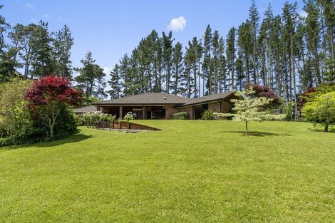 Photo of property in 145 Peers Road, Omanawa, Tauranga, 3171