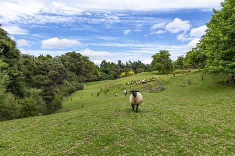 Photo of property in 1439 Old North Road, Helensville, 0875