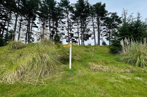 Photo of property in 609a Bickerstaffe Road, Maungaturoto, 0587