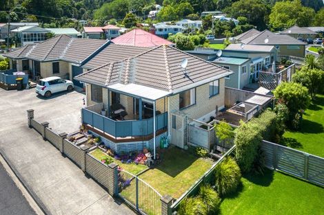 Photo of property in 113 Rennie Street, Thames, 3500