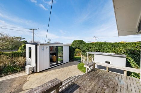 Photo of property in 23 Laurence Street, Queenwood, Hamilton, 3210