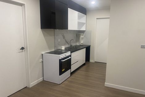 Photo of property in 2 Morepork Street, Flat Bush, Auckland, 2019