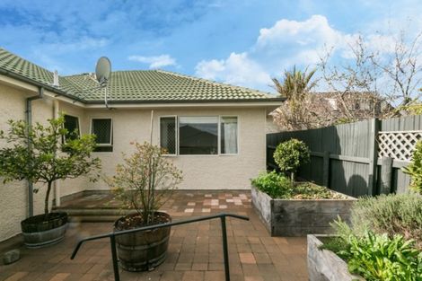 Photo of property in 14 Chambers Street, Havelock North, 4130