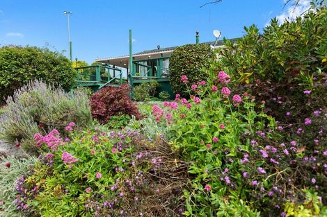 Photo of property in 218 Hampton Downs Road, Whangamarino, Te Kauwhata, 3782