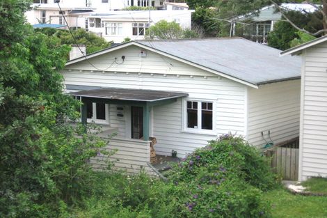 Photo of property in 47 Ariki Street, Grey Lynn, Auckland, 1021