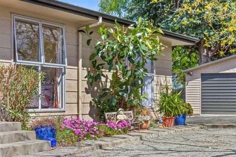 Photo of property in 43 Margaret Street, Solway, Masterton, 5810