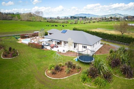 Photo of property in 102 Maungakawa Road, Cambridge, 3496