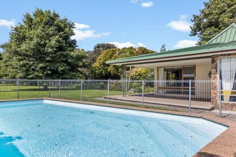 Photo of property in 611 York Street, Mahora, Hastings, 4120