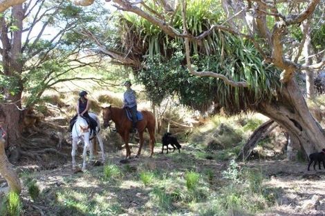 Photo of property in 46 Manunui Road, Pakiri, Wellsford, 0972