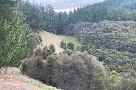 Photo of property in 1247 Wharekopae Road, Ngatapa, Gisborne, 4072