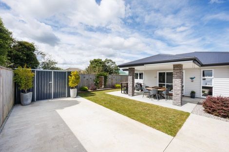 Photo of property in 15b Chamberlain Street, Feilding, 4702