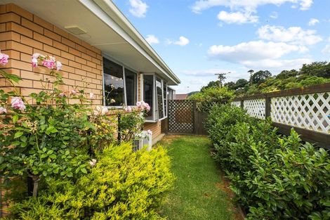 Photo of property in 209a Heale Street, Thames, 3500