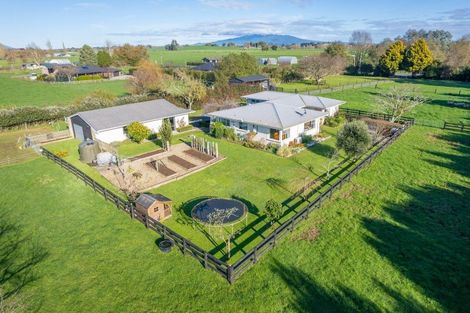 Photo of property in 75 Mill Road, Ohaupo, 3881