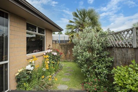 Photo of property in 14/2 Grace Avenue, Leamington, Cambridge, 3432