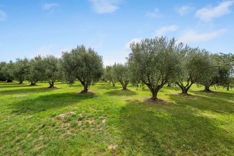 Photo of property in 447 Wairau Bar Road, Spring Creek, Blenheim, 7273