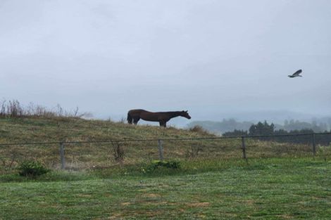 Photo of property in 584b State Highway 3, Waitomo, Te Kuiti, 3977