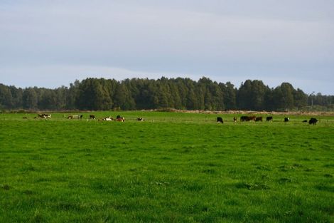 Photo of property in 106 Granite Creek Road, Karamea, 7893