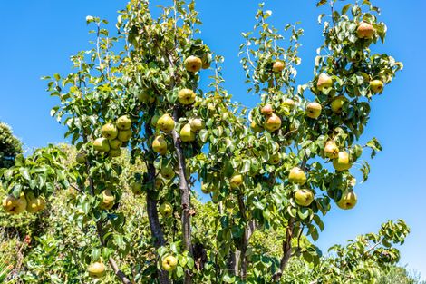 Photo of property in 3 Turanga Street, Kaiti, Gisborne, 4010