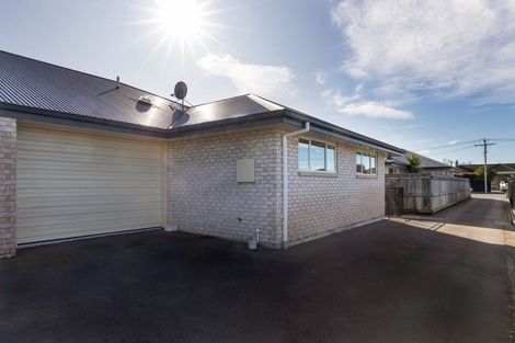 Photo of property in 45a Warwick Street, Mayfield, Blenheim, 7201