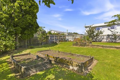 Photo of property in 42 Hinemoa Street, Paraparaumu, 5032