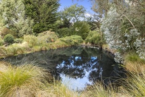 Photo of property in 413 East Taieri-allanton Road, Allanton, Mosgiel, 9092