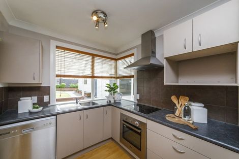 Photo of property in 19 Giesen Road, Feilding, 4702