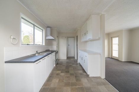 Photo of property in 163 Galloway Street, Hamilton East, Hamilton, 3216