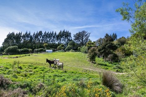 Photo of property in 849 Blueskin Road, Mount Cargill, Waitati, 9085