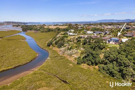 Photo of property in 153 Koutunui Road, Athenree, Katikati, 3177