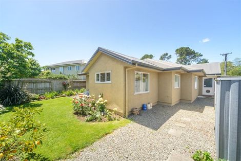 Photo of property in 207 Salisbury Street, Ashhurst, 4810