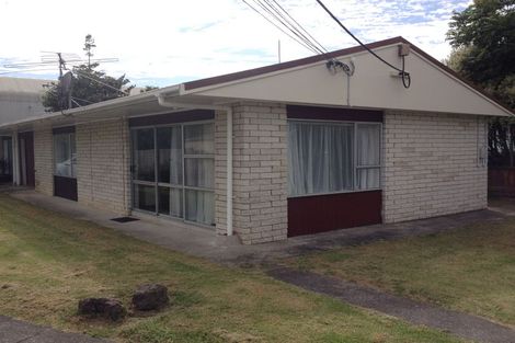 Photo of property in 1/29 Garelja Road, Henderson, Auckland, 0612
