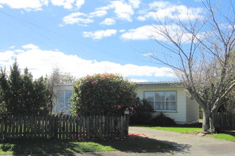 Photo of property in 11 Derby Street, Levin, 5510