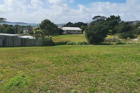 Photo of property in 10 Goebel Street, Tinopai, 0593