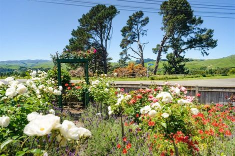 Photo of property in 207 Salisbury Street, Ashhurst, 4810