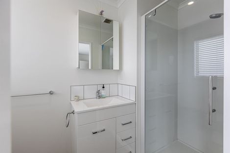 Photo of property in 114a Stanford Street North, Ashhurst, 4810