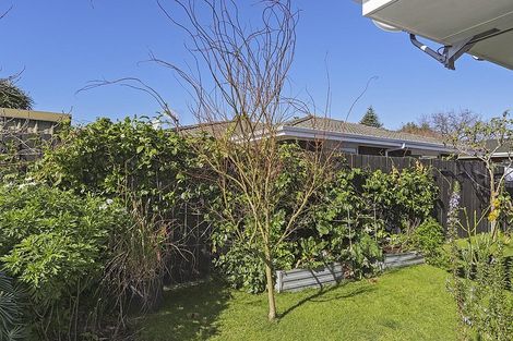 Photo of property in 3a Strathmore Way, Matua, Tauranga, 3110