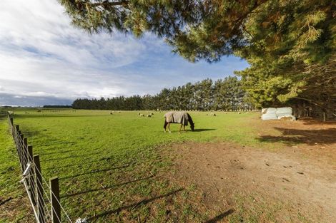 Photo of property in 33 Neumans Line, Marton, 4789