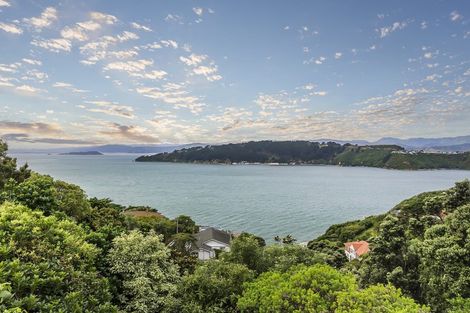 Photo of property in 115 Grafton Road, Roseneath, Wellington, 6011