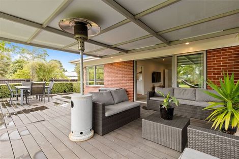 Photo of property in 51 Studholme Street, Somerfield, Christchurch, 8024