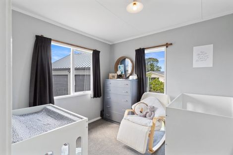 Photo of property in 453 Kahikatea Drive, Dinsdale, Hamilton, 3204