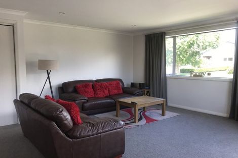 Photo of property in 3 Tranquil Grove, Omokoroa, 3114