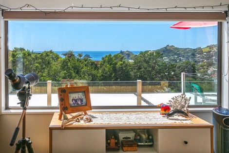 Photo of property in 65 Grange Road, Hahei, Whitianga, 3591